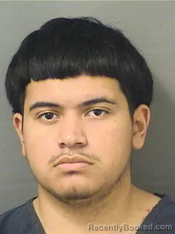 Recent Mugshot Image for JAMESON ZELAYACASTANEDA in Palm Beach County, Florida