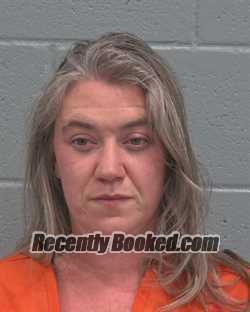 Recent Mugshot Image for ELIZABETH ANNE BOWMAN in Pasco County, Florida