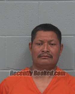 Recent Mugshot Image for SANTOS HERNANDEZ-SHILON in Pasco County, Florida