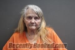 Recent Mugshot Image for ARELENE ESTELLA NOREUIL in Labette County, Kansas