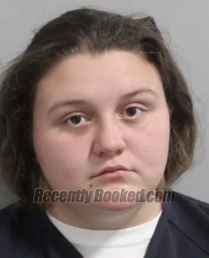 Recent Mugshot Image for HANNAH HULSE in Polk County, Florida