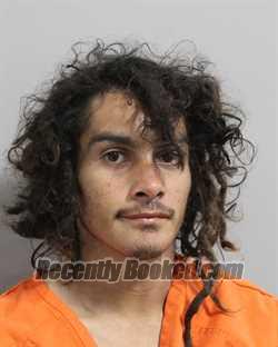Recent Mugshot Image for BRENDYAN PHILLIPS in Polk County, Florida