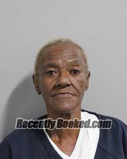 Recent Mugshot Image for DIANA MURPHY in Polk County, Florida