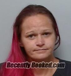 Recent Mugshot Image for MEGAN HOLLOWAY in Polk County, Florida