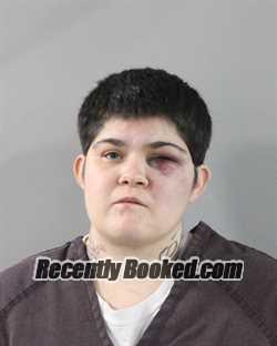 Recent Mugshot Image for DESTINY ARENDA in Polk County, Florida