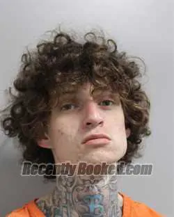 Recent Mugshot Image for DRAKE BELL in Polk County, Florida