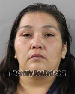 Recent Mugshot Image for ELISA CALVILLO in Polk County, Florida