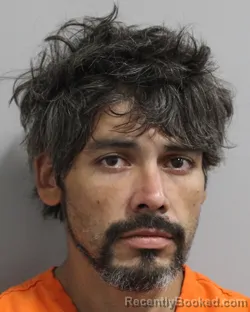 Recent Mugshot Image for DAVID REYES in Polk County, Florida