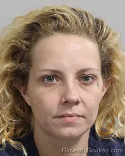 Recent Mugshot Image for MEGAN AKINS in Polk County, Florida