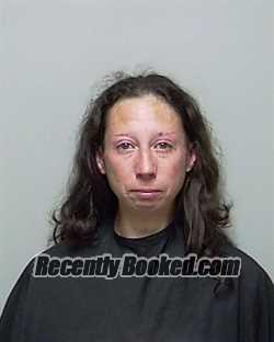 Recent Mugshot Image for MICHELLE DEKENIPP in Putnam County, Florida