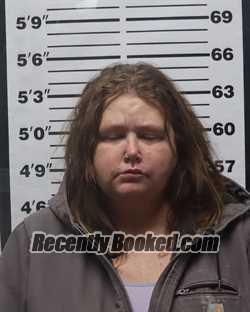 Recent Mugshot Image for Jennifer Rae Toney in Pratt County, Kansas