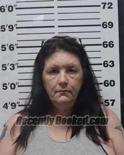 Recent Mugshot Image for Joann Michele Andring in Pratt County, Kansas