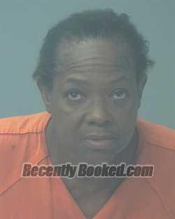 Recent Mugshot Image for SYLVIA ANN MIMS in Santa Rosa County, Florida