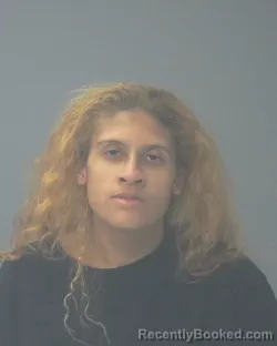 Recent Mugshot Image for HAYLEY CHEYENNE BROWN in Santa Rosa County, Florida