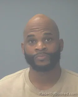 Recent Mugshot Image for DEWAYNE EDWINS BRIDGES in Santa Rosa County, Florida