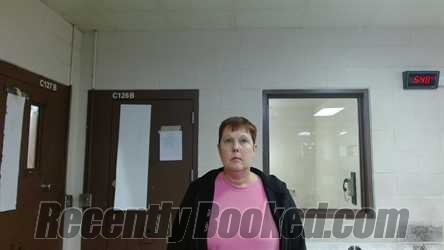 Recent Mugshot Image for DAWN MICHELLE WILLIAMS in Sedgwick County, Kansas