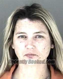 Recent Mugshot Image for Danielle Nicole Davidson in Shawnee County, Kansas