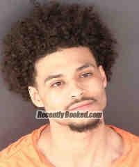 Recent Mugshot Image for DAESEAN LUROME YOUNG in Sarasota County, Florida