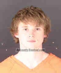 Recent Mugshot Image for CONNOR L FIELDS in Sarasota County, Florida