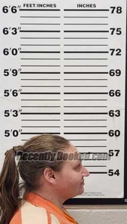 Recent Mugshot Image for Kimberly Jean Gordon in Thomas County, Kansas