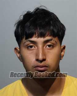 Recent Booking / Mugshot for ALEX BRAVO in Seminole County, Florida