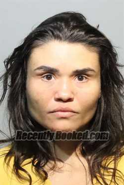 Recent Mugshot Image for MICHAELA COELHO in Seminole County, Florida