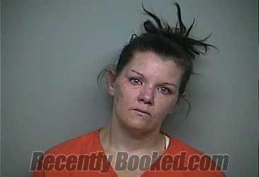 Recent Mugshot Image for Elizabeth A Michael in Adams County, Ohio