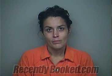 Recent Mugshot Image for MELISSA ANNE JOYNER in Adams County, Ohio