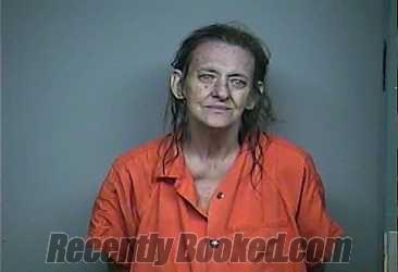 Recent Mugshot Image for RHETA FAY THACKER in Adams County, Ohio