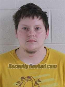 Recent Mugshot Image for KYLIE BRINKERMAN-FOSTER in Ashland County, Ohio