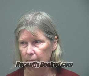 Recent Mugshot Image for NANCY ELAINE WELLS in Athens County, Ohio