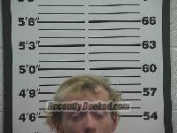 Recent Mugshot Image for Andrew Robert Welker in Belmont County, Ohio