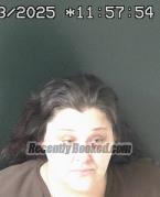 Recent Mugshot Image for MEGAN NICHOLE WARREN in Brown County, Ohio