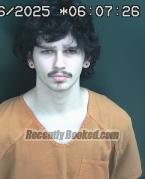 Recent Mugshot Image for ATHAN N HARRELL in Brown County, Ohio