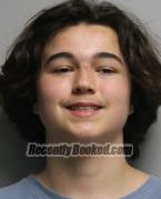 Recent Mugshot Image for LOGAN PAUL OLDFIELD in Butler County, Ohio