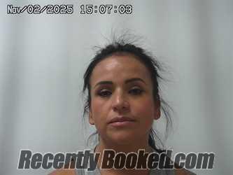 Recent Mugshot Image for OFELIA RAMIREZ in Champaign County, Ohio
