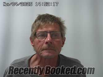Recent Mugshot Image for DAVID LAYNE in Champaign County, Ohio