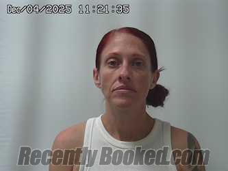 Recent Mugshot Image for SARAH SHACKLE in Champaign County, Ohio