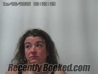 Recent Mugshot Image for AMBER RHEINSCHELD in Champaign County, Ohio
