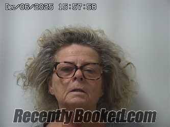 Recent Mugshot Image for MICHELLE TROUT in Champaign County, Ohio