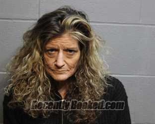 Recent Mugshot Image for DENISE DARNELL FINK in Coshocton County, Ohio