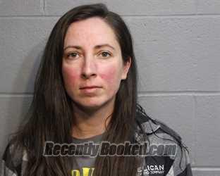 Recent Booking / Mugshot for LESLEY ANNE LAHNA in Coshocton County, Ohio