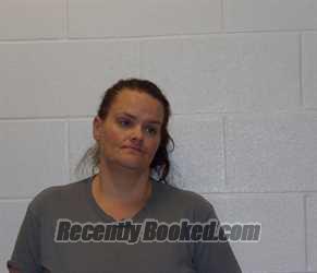 Recent Mugshot Image for ALISHA DAWN PORTER in Coshocton County, Ohio