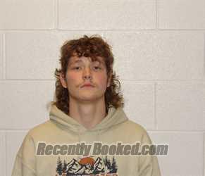 Recent Mugshot Image for MICHAEL LEE WORKMAN in Coshocton County, Ohio