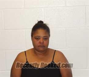 Recent Mugshot Image for NICOLE LOUISE FRANKS in Coshocton County, Ohio