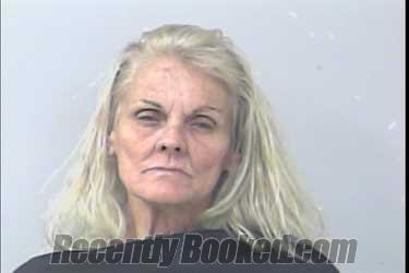 Recent Mugshot Image for Karen Rion Mitchell in St Lucie County, Florida