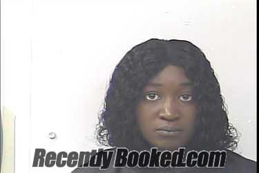 Recent Booking / Mugshot for Erin Nola Scott in St Lucie County, Florida