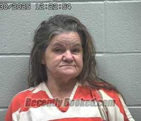 Recent Mugshot Image for KARLA LYNN GANTZ in Crawford County, Ohio