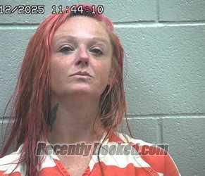 Recent Booking / Mugshot for STACY LYNN TYLER in Crawford County, Ohio