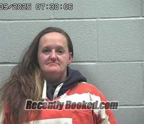 Recent Mugshot Image for TARA MICHELLE KRZEMINSKI in Crawford County, Ohio
